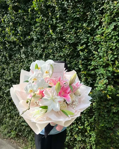 Giant Roses Lily Orchid