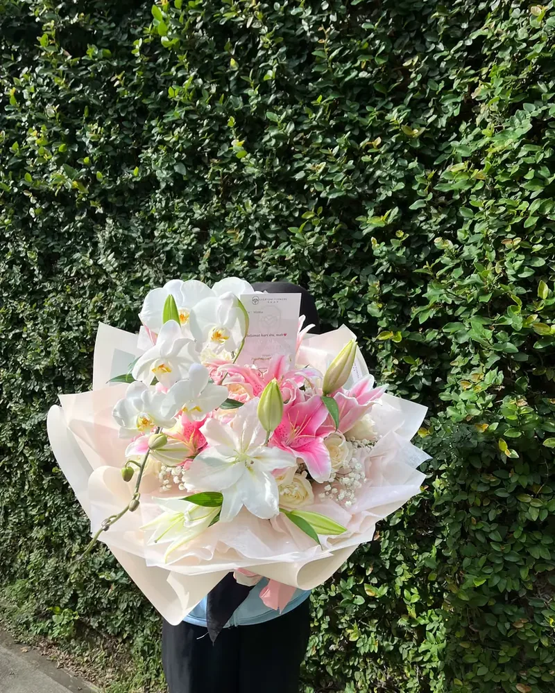 Giant Roses Lily Orchid